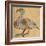 Swan-Phoenix-Aristotle ibn Bakhtishu-Framed Giclee Print