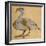 Swan-Phoenix-Aristotle ibn Bakhtishu-Framed Giclee Print