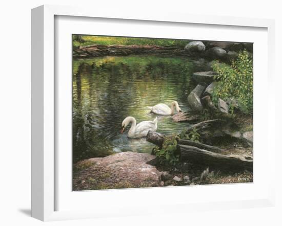 Swan Song-Kevin Dodds-Framed Giclee Print