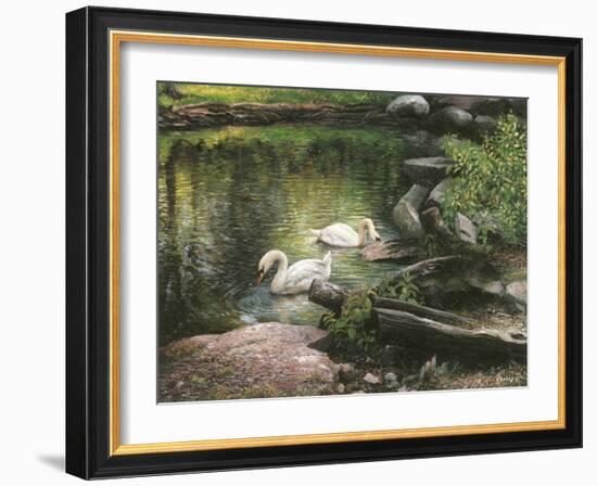 Swan Song-Kevin Dodds-Framed Giclee Print