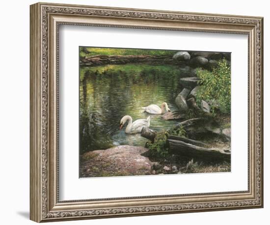 Swan Song-Kevin Dodds-Framed Giclee Print