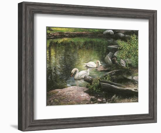 Swan Song-Kevin Dodds-Framed Giclee Print