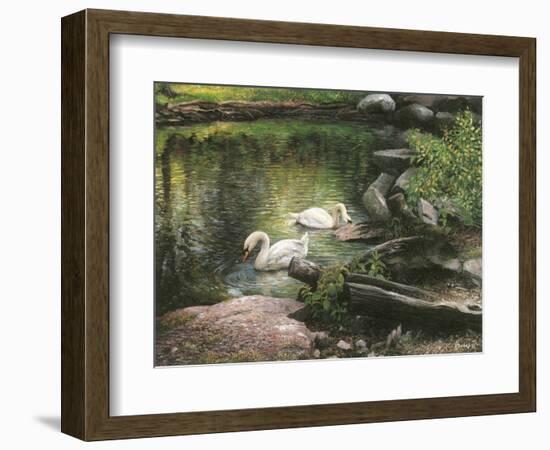 Swan Song-Kevin Dodds-Framed Giclee Print