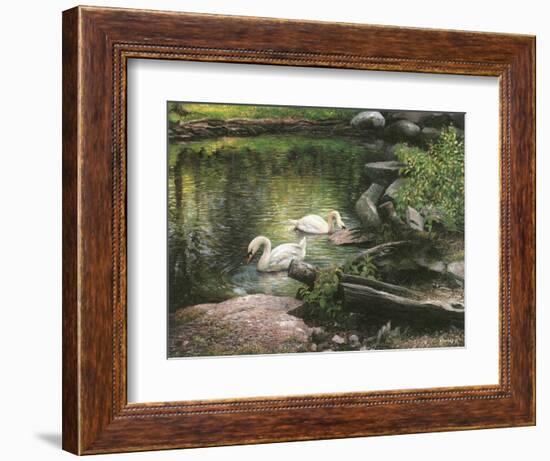 Swan Song-Kevin Dodds-Framed Giclee Print