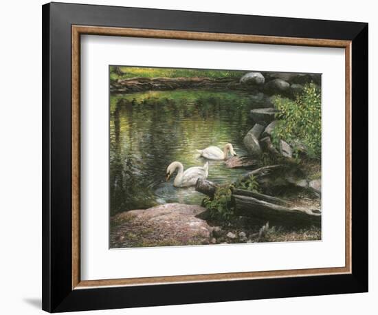 Swan Song-Kevin Dodds-Framed Giclee Print