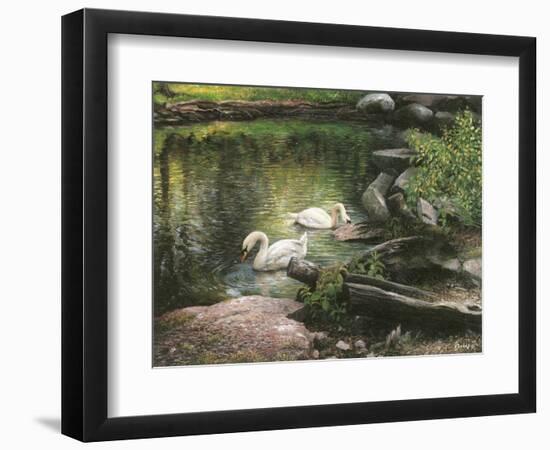 Swan Song-Kevin Dodds-Framed Giclee Print