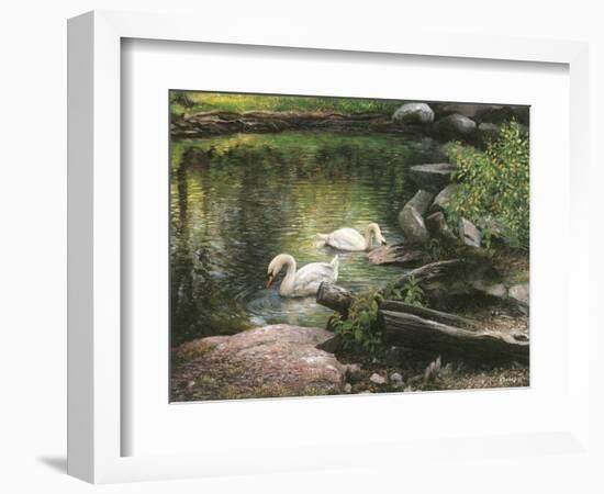 Swan Song-Kevin Dodds-Framed Giclee Print