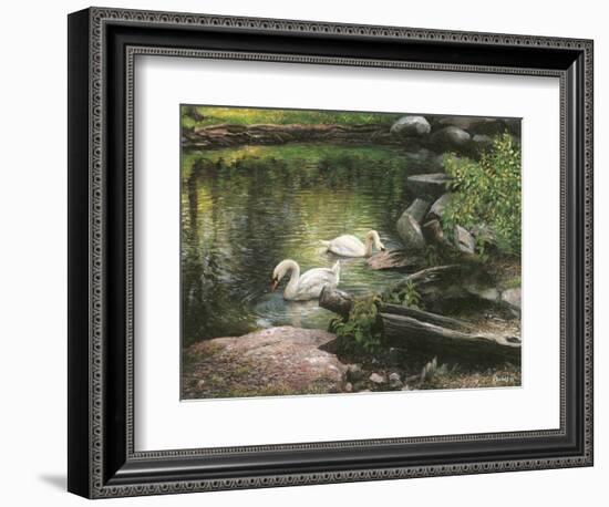 Swan Song-Kevin Dodds-Framed Giclee Print