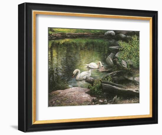 Swan Song-Kevin Dodds-Framed Giclee Print