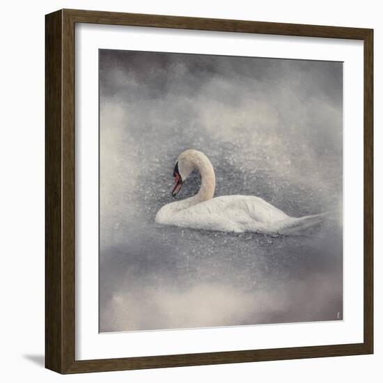 Swan Storm-Jai Johnson-Framed Giclee Print