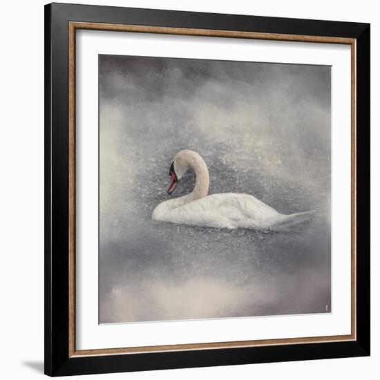 Swan Storm-Jai Johnson-Framed Giclee Print