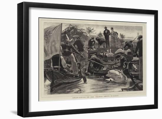 Swan-Upping on the Thames Above Windsor-William Small-Framed Giclee Print