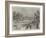 Swan-Upping on the Thames, from Brentford Ait-null-Framed Giclee Print