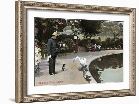 Swan with Dog, Queen's Park, Brighton, England-null-Framed Art Print