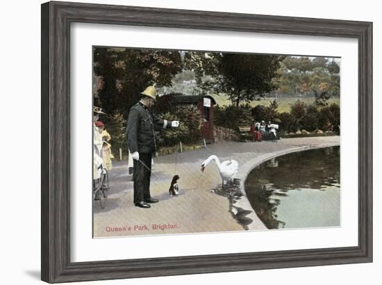 Swan with Dog, Queen's Park, Brighton, England-null-Framed Art Print