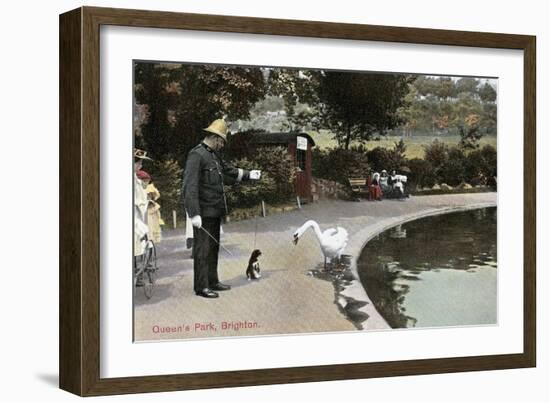 Swan with Dog, Queen's Park, Brighton, England-null-Framed Art Print