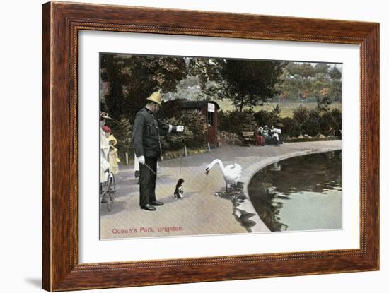 Swan with Dog, Queen's Park, Brighton, England-null-Framed Art Print