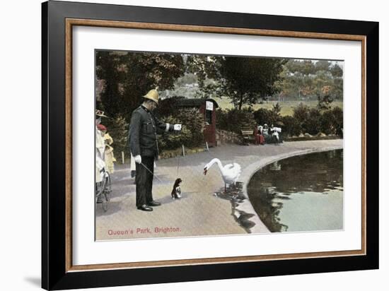 Swan with Dog, Queen's Park, Brighton, England-null-Framed Art Print