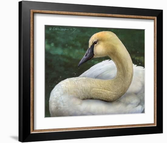 Swan-Chris Vest-Framed Art Print