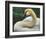 Swan-Chris Vest-Framed Art Print