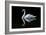 Swan-Charles Bowman-Framed Photographic Print