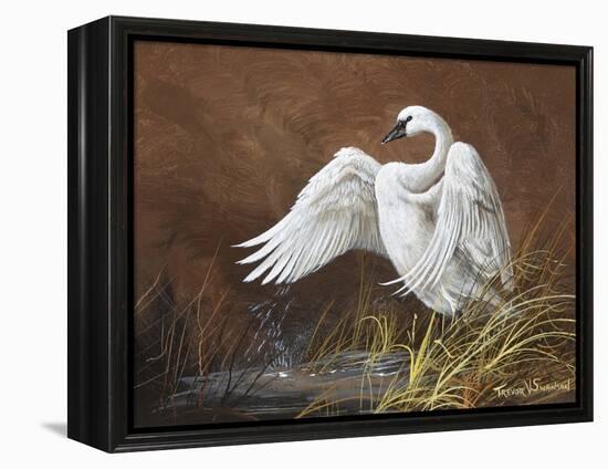 Swan-Trevor V. Swanson-Framed Premier Image Canvas