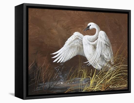 Swan-Trevor V. Swanson-Framed Premier Image Canvas