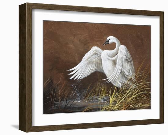 Swan-Trevor V. Swanson-Framed Giclee Print