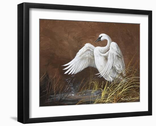 Swan-Trevor V. Swanson-Framed Giclee Print