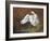 Swan-Trevor V. Swanson-Framed Giclee Print