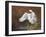 Swan-Trevor V. Swanson-Framed Giclee Print