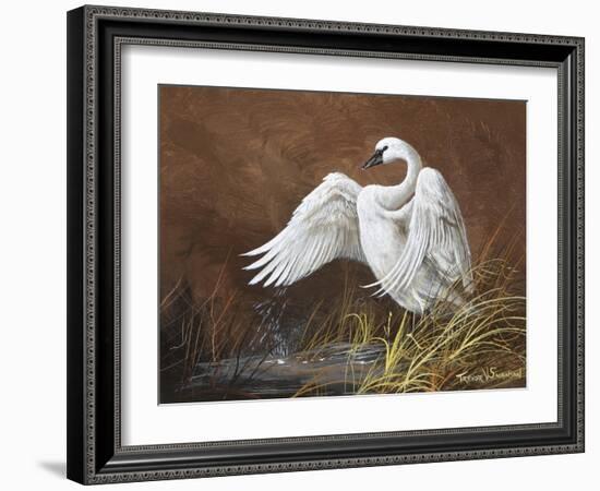 Swan-Trevor V. Swanson-Framed Giclee Print