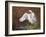 Swan-Trevor V. Swanson-Framed Giclee Print
