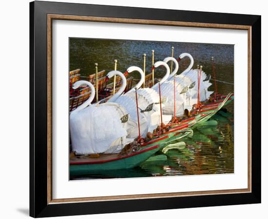 Swanboats, Public Garden, Boston, Massachusetts, USA-Walter Bibikow-Framed Photographic Print