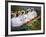 Swanboats, Public Garden, Boston, Massachusetts, USA-Walter Bibikow-Framed Photographic Print