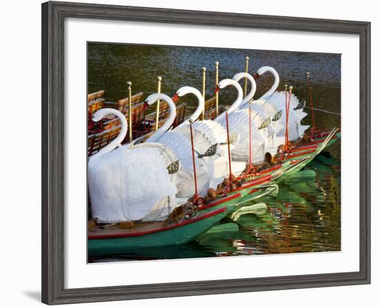 Swanboats, Public Garden, Boston, Massachusetts, USA-Walter Bibikow-Framed Photographic Print