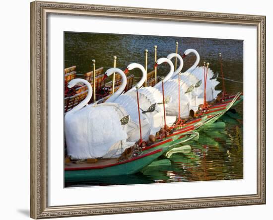 Swanboats, Public Garden, Boston, Massachusetts, USA-Walter Bibikow-Framed Photographic Print