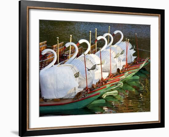 Swanboats, Public Garden, Boston, Massachusetts, USA-Walter Bibikow-Framed Photographic Print