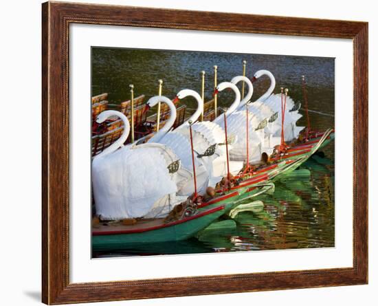 Swanboats, Public Garden, Boston, Massachusetts, USA-Walter Bibikow-Framed Photographic Print