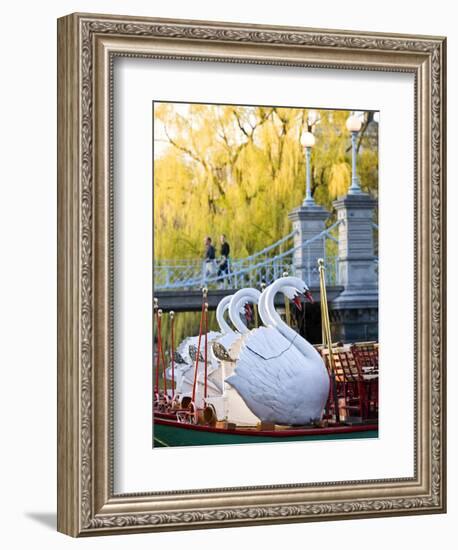 Swanboats, Public Garden, Boston, Massachusetts, USA-Walter Bibikow-Framed Photographic Print