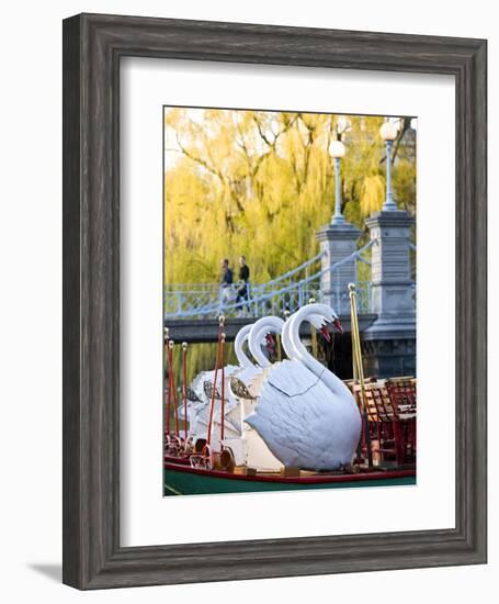 Swanboats, Public Garden, Boston, Massachusetts, USA-Walter Bibikow-Framed Photographic Print