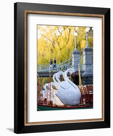 Swanboats, Public Garden, Boston, Massachusetts, USA-Walter Bibikow-Framed Photographic Print