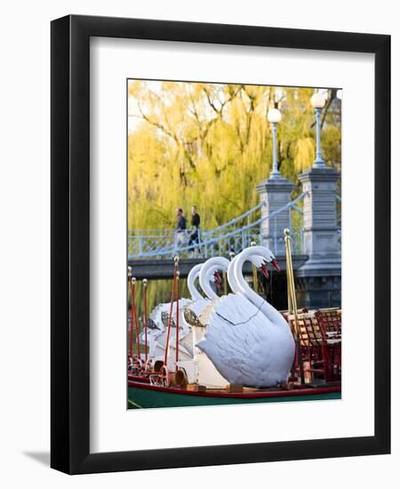 Swanboats, Public Garden, Boston, Massachusetts, USA-Walter Bibikow-Framed Photographic Print
