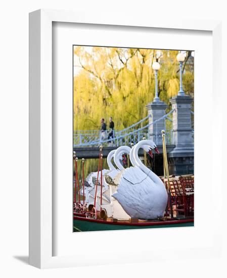 Swanboats, Public Garden, Boston, Massachusetts, USA-Walter Bibikow-Framed Photographic Print