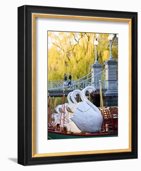 Swanboats, Public Garden, Boston, Massachusetts, USA-Walter Bibikow-Framed Photographic Print