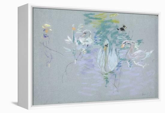 Swans, 1885 (Pastel on Paper)-Berthe Morisot-Framed Premier Image Canvas