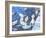 Swans, 2000-Martin Decent-Framed Giclee Print