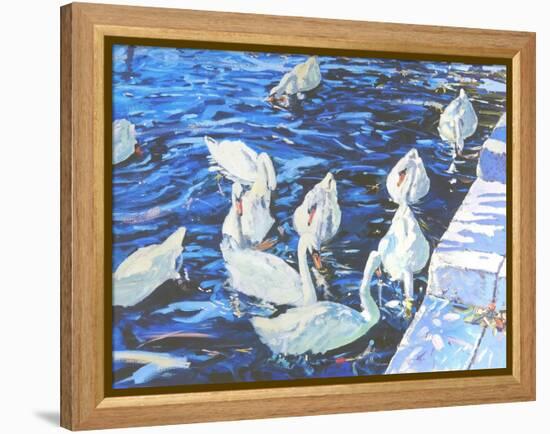 Swans, 2000-Martin Decent-Framed Premier Image Canvas