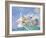 Swans a Swimming-Scott Westmoreland-Framed Art Print