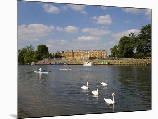 Swans and Sculls on the River Thames, Hampton Court, Greater London, England, United Kingdom-Charles Bowman-Mounted Photographic Print